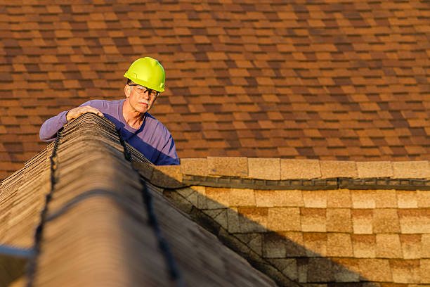 Best Storm Damage Roof Repair  in Prospect Heights, IL